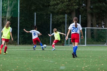 Bild 117 - C-Juniorinnen HSV - Walddoerfer : Ergebnis: 9:1